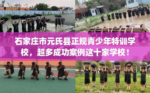 石家庄市元氏县正规青少年特训学校,超多成功案例这十家学校! 石家庄市元氏县正规青少年特训学校,超多成功案例这十家学校!
