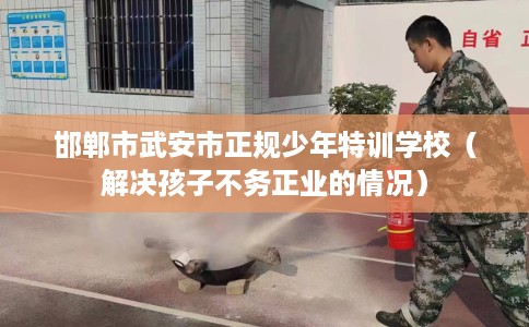 邯郸市武安市正规少年特训学校(解决孩子不务正业的情况) 邯郸市武安市正规少年特训学校(解决孩子不务正业的情况)