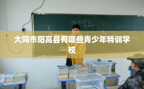 大同市阳高县有哪些青少年特训学校