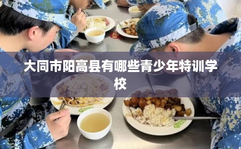 大同市阳高县有哪些青少年特训学校