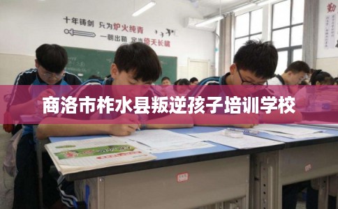 商洛市柞水县叛逆孩子培训学校 商洛市柞水县叛逆孩子培训学校