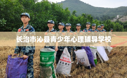 长治市沁县青少年心理辅导学校 长治市沁县青少年心理辅导学校