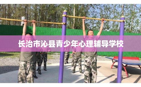 长治市沁县青少年心理辅导学校 长治市沁县青少年心理辅导学校
