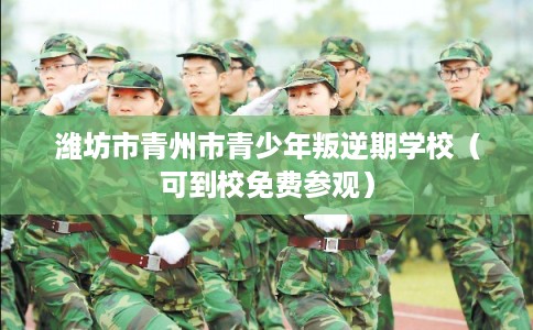 潍坊市青州市青少年叛逆期学校（可到校免费参观）