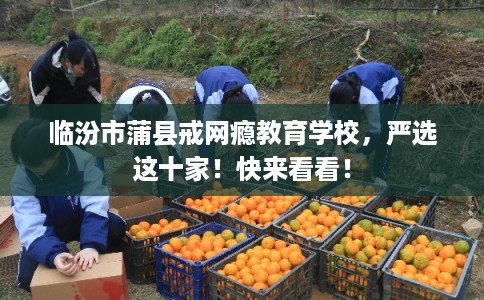 临汾市蒲县戒网瘾教育学校，严选这十家！快来看看！