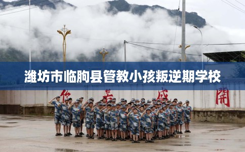 潍坊市临朐县管教小孩叛逆期学校