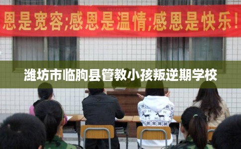 潍坊市临朐县管教小孩叛逆期学校