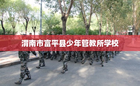 渭南市富平县少年管教所学校 渭南市富平县少年管教所学校