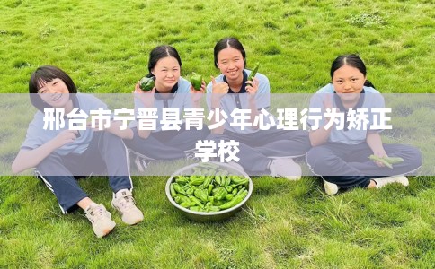 邢台市宁晋县青少年心理行为矫正学校