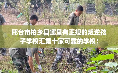 邢台市柏乡县哪里有正规的叛逆孩子学校汇集十家可靠的学校! 邢台市柏乡县哪里有正规的叛逆孩子学校汇集十家可靠的学校!