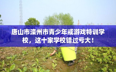 唐山市滦州市青少年戒游戏特训学校，这十家学校错过亏大！