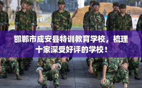邯郸市成安县特训教育学校,梳理十家深受好评的学校! 邯郸市成安县特训教育学校,梳理十家深受好评的学校!