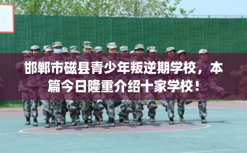 邯郸市磁县青少年叛逆期学校，本篇今日隆重介绍十家学校！