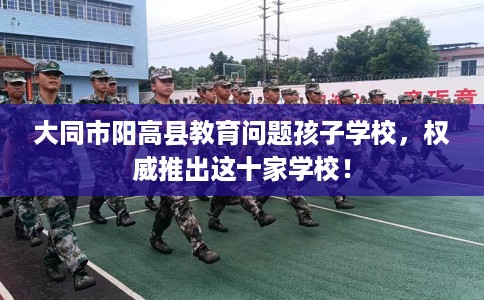 大同市阳高县教育问题孩子学校，权威推出这十家学校！