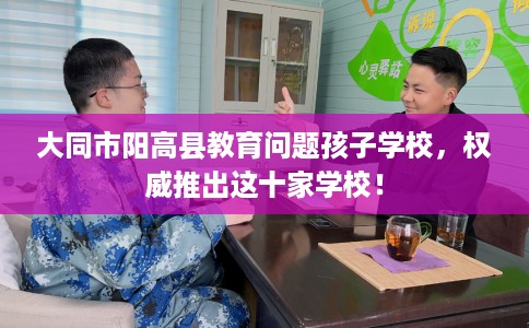大同市阳高县教育问题孩子学校，权威推出这十家学校！