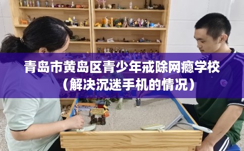 青岛市黄岛区青少年戒除网瘾学校（解决沉迷手机的情况）