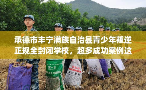 承德市丰宁满族自治县青少年叛逆正规全封闭学校，超多成功案例这十家学校！