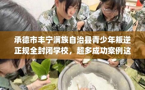 承德市丰宁满族自治县青少年叛逆正规全封闭学校，超多成功案例这十家学校！