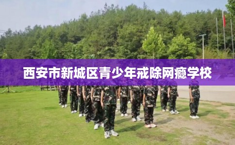 西安市新城区青少年戒除网瘾学校 西安市新城区青少年戒除网瘾学校
