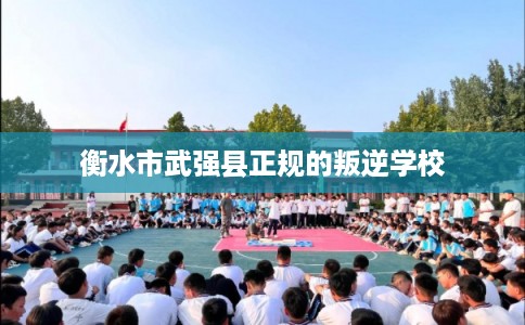 衡水市武强县正规的叛逆学校
