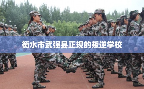 衡水市武强县正规的叛逆学校