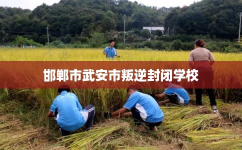 邯郸市武安市叛逆封闭学校