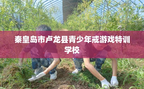 秦皇岛市卢龙县青少年戒游戏特训学校
