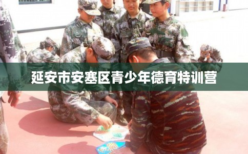 延安市安塞区青少年德育特训营 延安市安塞区青少年德育特训营
