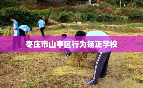 枣庄市山亭区行为矫正学校 枣庄市山亭区行为矫正学校