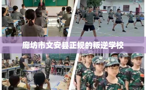廊坊市文安县正规的叛逆学校