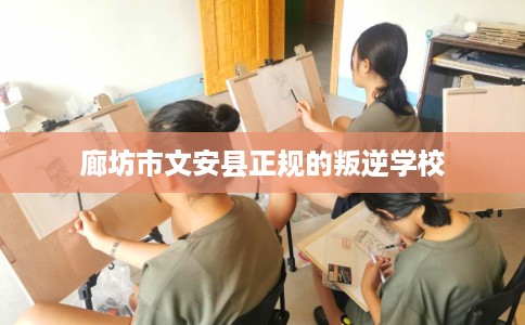 廊坊市文安县正规的叛逆学校