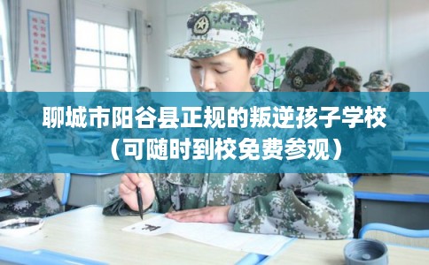 聊城市阳谷县正规的叛逆孩子学校（可随时到校免费参观）