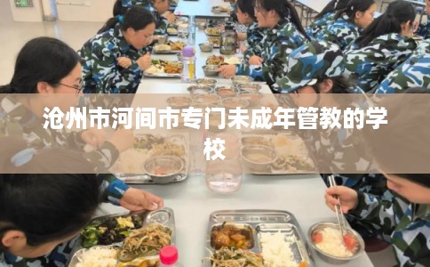 沧州市河间市专门未成年管教的学校