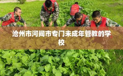 沧州市河间市专门未成年管教的学校