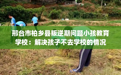 邢台市柏乡县叛逆期问题小孩教育学校:解决孩子不去学校的情况 邢台市柏乡县叛逆期问题小孩教育学校:解决孩子不去学校的情况