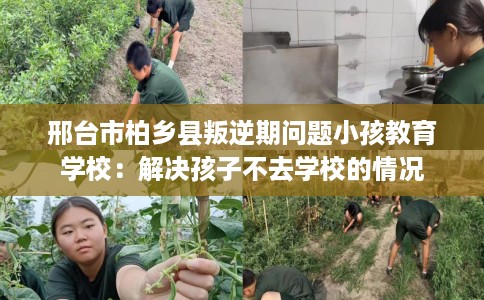 邢台市柏乡县叛逆期问题小孩教育学校：解决孩子不去学校的情况