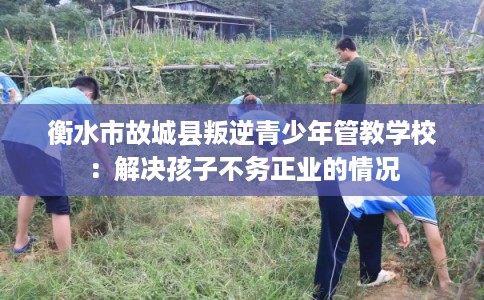 衡水市故城县叛逆青少年管教学校：解决孩子不务正业的情况