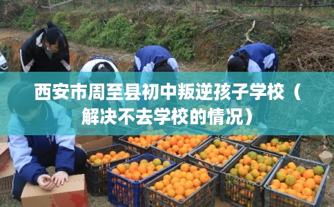 西安市周至县初中叛逆孩子学校（解决不去学校的情况）