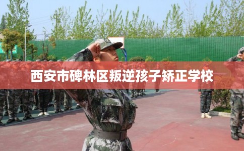 西安市碑林区叛逆孩子矫正学校