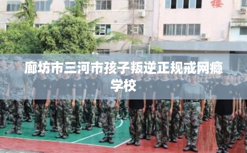 廊坊市三河市孩子叛逆正规戒网瘾学校 廊坊市三河市孩子叛逆正规戒网瘾学校