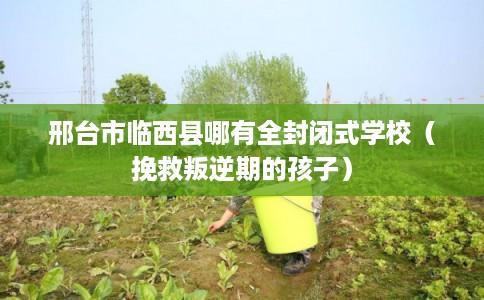邢台市临西县哪有全封闭式学校（挽救叛逆期的孩子）