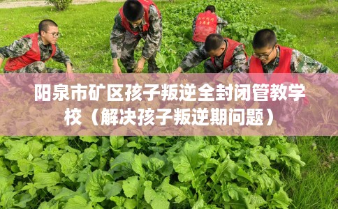 阳泉市矿区孩子叛逆全封闭管教学校（解决孩子叛逆期问题）