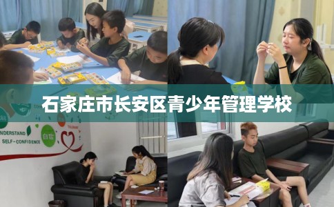 石家庄市长安区青少年管理学校 石家庄市长安区青少年管理学校