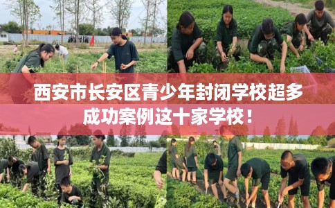 西安市长安区青少年封闭学校超多成功案例这十家学校！