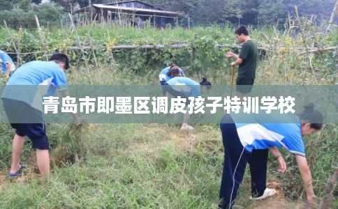 青岛市即墨区调皮孩子特训学校 青岛市即墨区调皮孩子特训学校