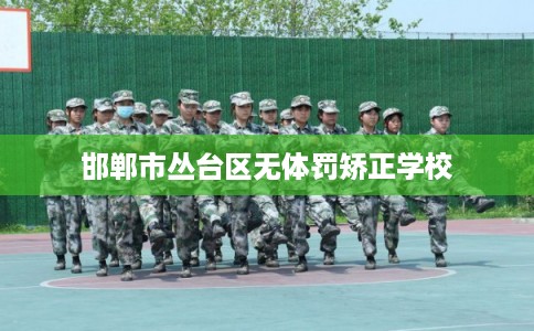 邯郸市丛台区无体罚矫正学校 邯郸市丛台区无体罚矫正学校