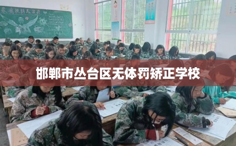邯郸市丛台区无体罚矫正学校 邯郸市丛台区无体罚矫正学校