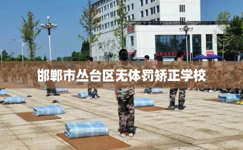 邯郸市丛台区无体罚矫正学校 邯郸市丛台区无体罚矫正学校