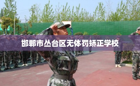 邯郸市丛台区无体罚矫正学校 邯郸市丛台区无体罚矫正学校