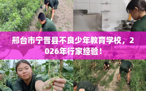 邢台市宁晋县不良少年教育学校，2026年行家经验！